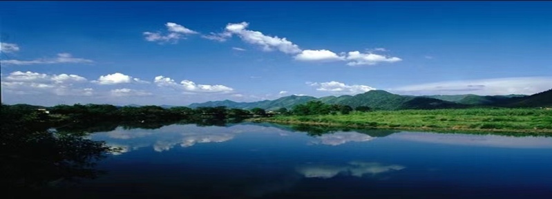 77779193永利官网